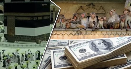 الكلام فى التريند.. ماليزى يخسر ربع مليون دولار بعد مكالمة 14 ثانية.. الداخلية تعلن انطلاق قرعة الحج بالمحافظات 11 مارس ولمدة 5 أيام.. والأهلى يواجه المقاولون العرب الليلة بدون 11 لاعبا.. وقرود تهاجم سكان الهند
