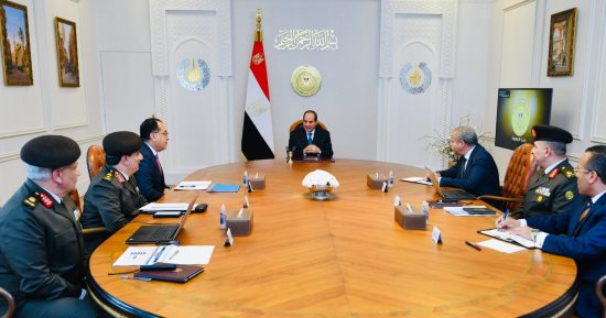 الرئيس السيسى يوجه بمواصلة جهود تعميق التصنيع والإنتاج الغذائي في مصر