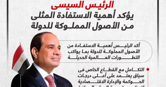 الرئيس السيسى يؤكد أهمية الاستفادة المثلى من الأصول المملوكة للدولة.. إنفوجراف