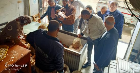 محافظ الدقهلية يحيل 48 محضر مخالفات تموينية للنيابة العامة
