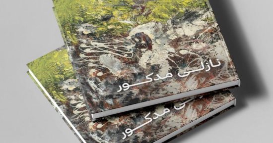 لوحات ودراسات عن أعمال نازلى مدكور الفنية فى كتاب مصور  عن دار الكرمة