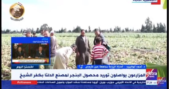 أحمد أبو اليزيد لـ"إكسترا نيوز": زراعة 630 ألف فدان بنجر توفر 12.5 مليون طن محصول