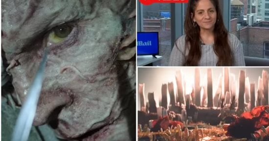هل يمكن للخيال العلمى أن يتحقق ويحول فطر "كورديسيبس" الأشخاص إلى زومبى؟