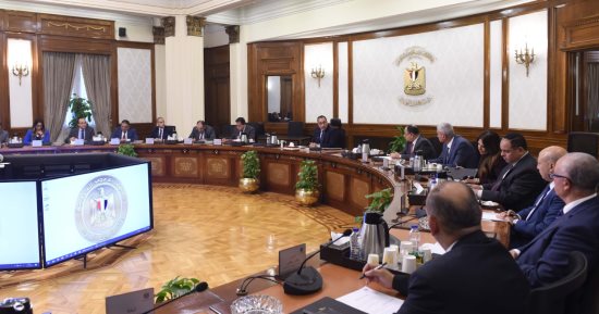 رئيس الوزراء يناقش سبل تيسير إجراءات تراخيص مصانع الأدوية والمستلزمات الطبية