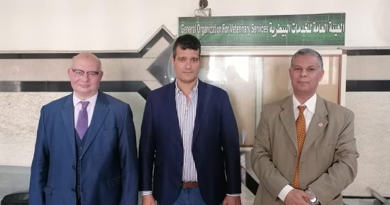 مدير بيطرى الأقصر يبحث عمل قوافل علاجية لحماية الثروة الحيوانية فى القرى والنجوع.. صور