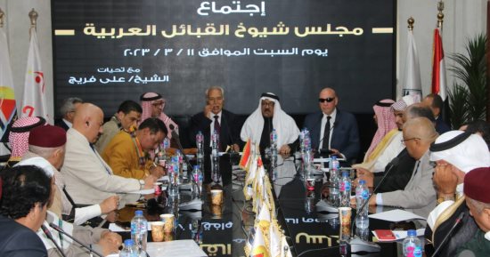 رئيس مجلس القبائل العربية: مصر مستهدفة.. والرئيس السيسي يعيد بناء الوطن