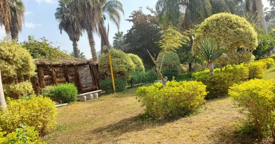 نظافة القاهرة تسمح بالتصوير الفوتوغرافى داخل مشتل البراجيل.. صور