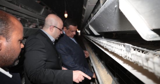 وزير التنمية المحلية ومحافظ بني سويف يتفقدان مشروعات الدواجن بشرق النيل