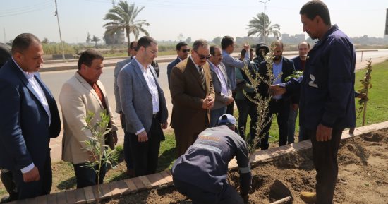 وصول 225 ألف شجرة مثمرة وزراعة أول شجرة برافد الطريق الدولى بكفر الشيخ.. صور