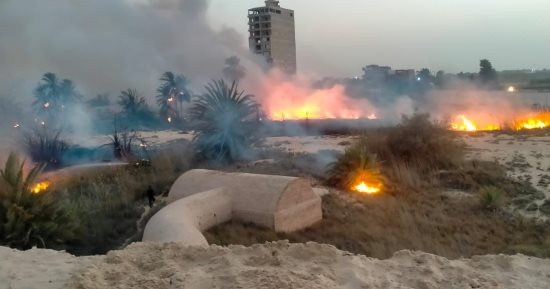 السيطرة على حريق "هيش" فى طريق البلاجات بالإسماعيلية