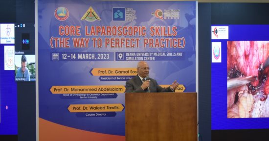 ورشة عمل بجامعة بنها عن المناظير الجراحية النسائية لتدريب شباب الأطباء