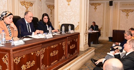 "مشروعات النواب": قانون عربات الطعام يوفر 300 ألف فرصة عمل للشباب