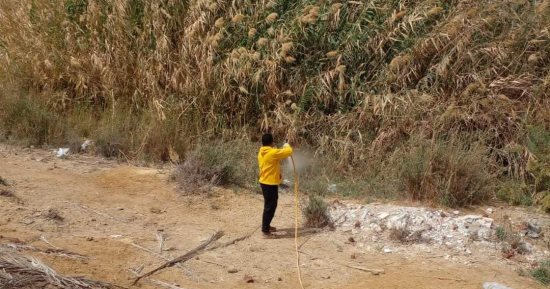 صحة السويس تواصل جهودها في مكافحة القوارض والحشرات بمختلف المناطق والأحياء 