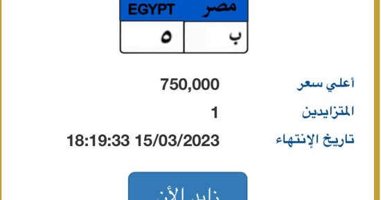 لوحة سيارة مميزة بالمزاد الإلكتروني تحمل رقم (ب - 5) سعرها 750 ألف جنيه 
