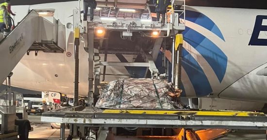 مطار القاهرة يستقبل أولى طائرات شحنات اللحوم المبردة القادمة من تشاد