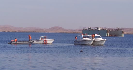 حظر استغلال جزر البحيرات فى صيد الطيور دون ترخيص.. النص بالقانون 