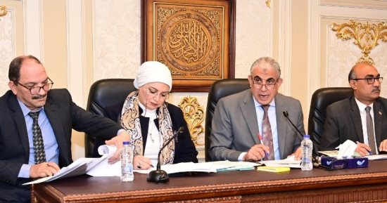 زيادة المعاشات 15%.. "قوى النواب" توافق على تعجيل موعد صرفها أول أبريل   