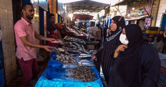 أسعار السمك اليوم تسجل 68 جنيها للبلطي في سوق الجملة 