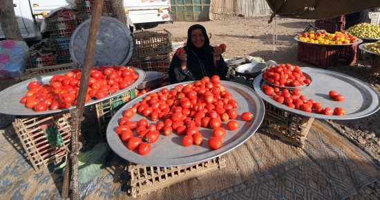 أسعار الخضراوات بالأسواق.. الطماطم من 2.5 لـ 4 جنيهات والبطاطس بـ7.5 جنيه