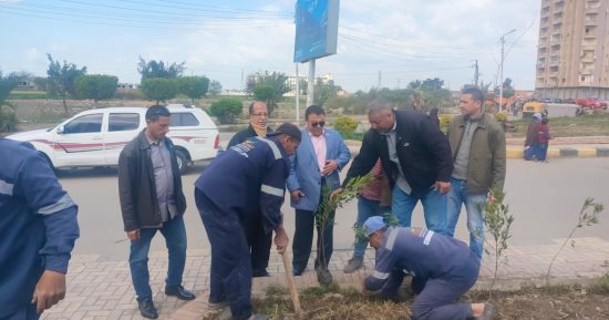 زراعة الأشجار بقرى ومدن محافظة كفر الشيخ ضمن مبادرة 100 مليون شجرة