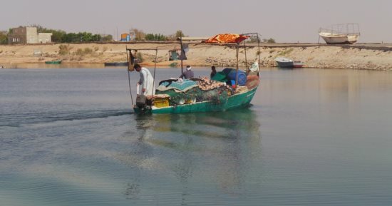 حكاية وطن.. إطلاق المبادرة الرئاسية "بر أمان" لدعم العمالة غير المنتظمة
