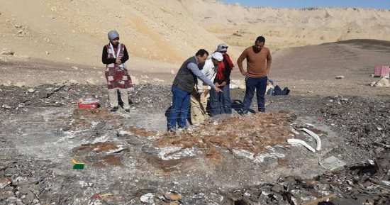 فريق مركز الحفريات الفقارية بجامعة الوادى الجديد يفوز بجائزة التميز الحكومى