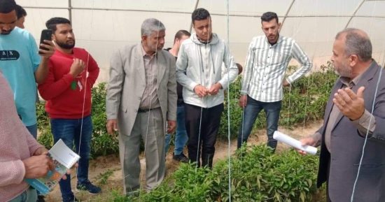 كلية الزراعة بجامعة قناة السويس تنظم دورة تدريبية عن "زراعة الخضر تحت الصوب"