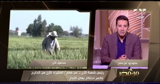 شعبة الأرز لـ"من مصر": لدينا وفرة من الأرز واستيراده لكسر احتكار التجار