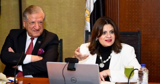 الهجرة: الاتفاق على إطلاق "شركة المصريين بالخارج للاستثمار" 