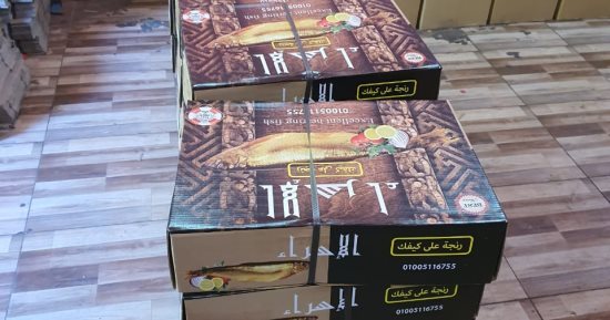 محافظ كفر الشيخ: وصول أجهزة طبية لمستشفى بيلا المركزى الجديد