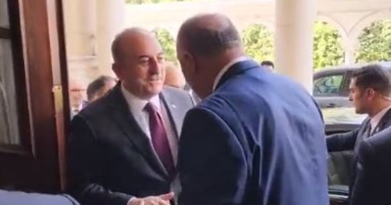شاهد لحظة استقبال وزير الخارجية لنظيره التركى بمقر الوزارة.. فيديو