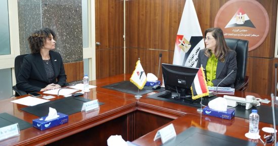 التخطيط تناقش خطوات إنشاء منصة مجالس المهارات القطاعية مع مشروع قوى عاملة مصر