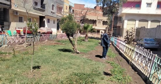 زراعة 40 ألف شجرة مثمرة فى بيلا والحامول وسيدى سالم بكفر الشيخ ضمن مبادرة الرئاسة