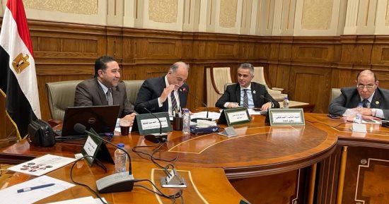 "تضامن النواب" تؤكد أهمية الحفاظ على الحسابات الشخصية على مواقع التواصل