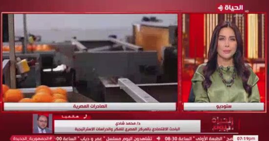 باحث اقتصادى: لأول مرة وصول صادرات مصر لـ 51 مليار دولار 