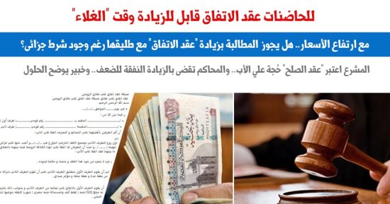 "عقد الاتفاق" مع الحاضنات قابل للزيادة فى هذه الحالة.. نقلا عن "برلمانى"