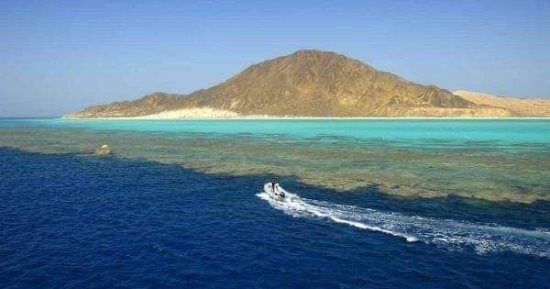 عالم آخر من السياحة.. الرحلات البحرية للجزر البعيدة يقصدها العاشقون للأعماق.. يقضون أكثر من أسبوع لمشاهدة الدلافين والقروش والسلاحف.. أهم مناطقها "الأخوان الكبير والصغير وأبو الكيزان والروكى والزبرجد".. صور