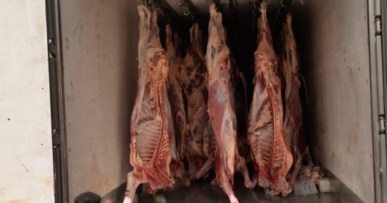 محافظ الدقهلية: استكمال مبادرة تخفيض أسعار اللحوم لـ150 جنيهًا