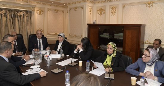 وزير التربية والتعليم: بعض الدول تطلب عمالة فنية من مصر