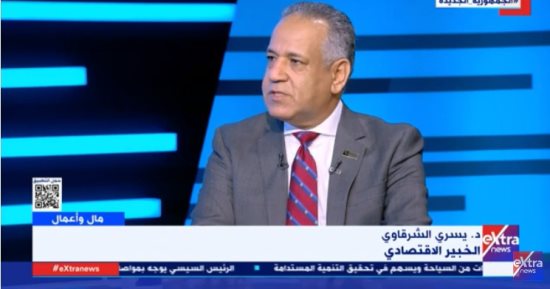 يسرى الشرقاوى: الدولة فرضت الإرادة الكاملة للتحول نحو العمل الأفريقى الاقتصادى