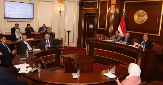 "صحة الشيوخ" تطالب بميثاق شرف يلزم الشركات المحلية ومتعددة الجنسيات بعدم الاحتكار