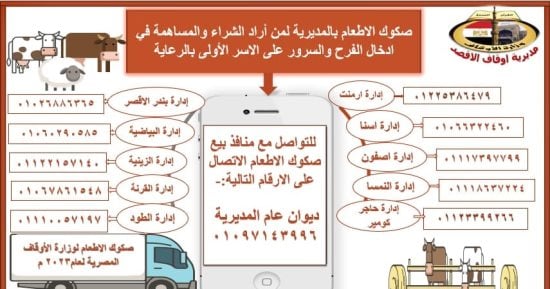 "أوقاف الأقصر" تعلن بيع 92 صكًا ضمن مشروع صكوك الإطعام بالمدن