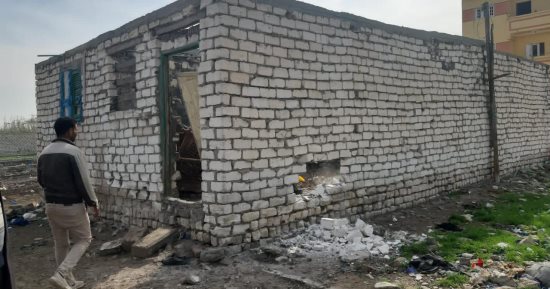 حملات مكبرة لإزالة التعديات على الزراعة وأملاك الدولة بالإسكندرية 