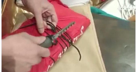 ضبط راكب بمطار القاهرة بحوزته طبنجة وخزنتان وطلقات حية