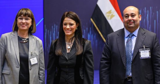 التعاون الدولى: التنسيق بين شركاء التنمية من أجل تنفيذ المشروعات التنموية المختلفة