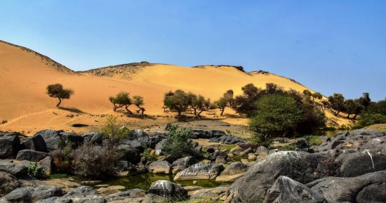محافظ أسوان: تنظيم مؤتمر للسياحة العلاجية باعتبارها مقصداً لاستشفاء مشاهير العالم