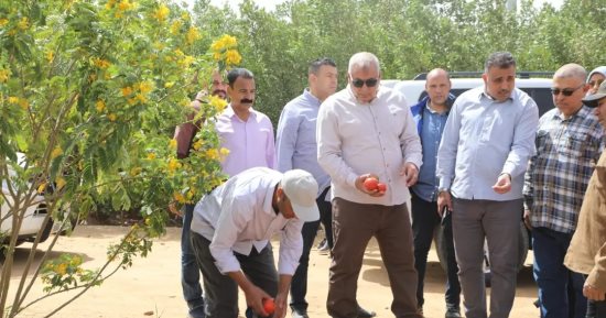 محافظ الوادي الجديد يتفقد أحد مشروعات شباب الخريجين الزراعية المتميزة بالخارجة