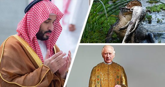 صور.. العالم هذا المساء.. الملك تشارلز سيجرى تدريبات لارتداء معطف ذهبى من الحرير بحفل التتويج.. محمد بن سلمان يزور المسجد النبوى و"قباء" ويصلى فى الروضة الشريفة.. تمساح ضخم يقتل آخر فى فلوريدا ويلتهمه