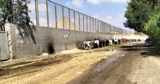 محافظة الجيزة: رفع 2500 طن مخلفات بنزلة السمان فى الهرم