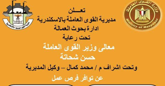 القوى العاملة تعلن توفير فرص عمل للشباب بالإسكندرية